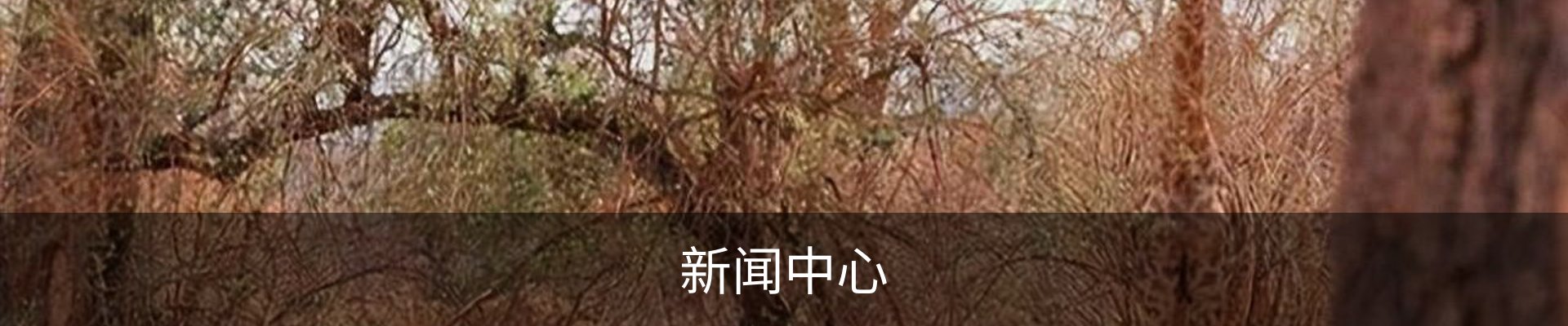 新闻中心
